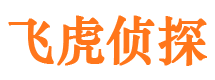 天镇市婚外情调查